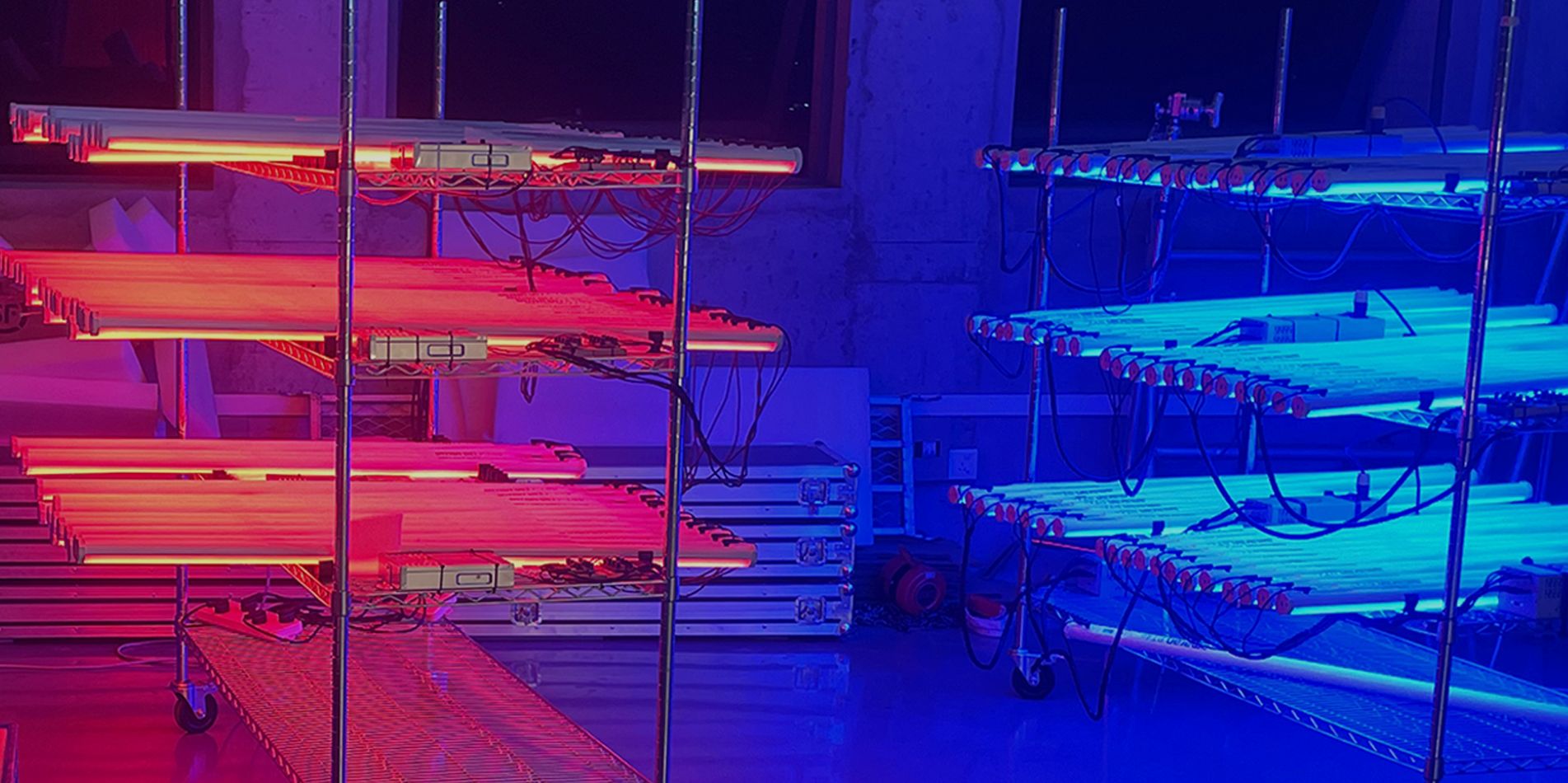 Racks of Tube Lux M pixel tubes lit blue
